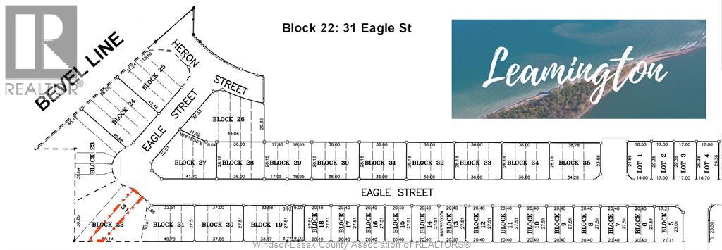 31 EAGLE - 31