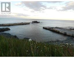 0 Main Road, Lower Island Cove, NL A0A2W0 Photo 12
