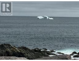 0 Main Road, Lower Island Cove, NL A0A2W0 Photo 16