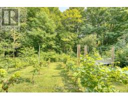 76 Everett Road, South Bruce Peninsula, ON N0H2T0 Photo 34
