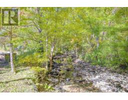 1706 Brookland Road, Six Mile Brook, NS B0K1H0 Photo 27