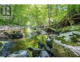 1706 Brookland Road, Six Mile Brook, NS B0K1H0 Photo 45