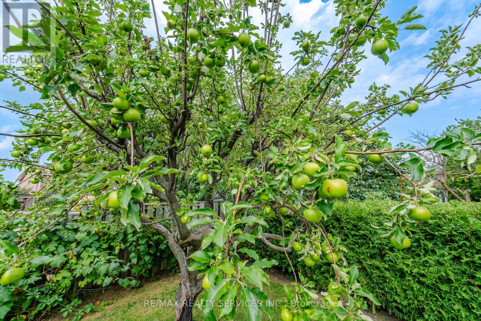 49 TURTLECREEK BOULEVARD - Image 36
