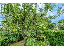 49 Turtlecreek Boulevard, Brampton, ON L6W3X8 Photo 36