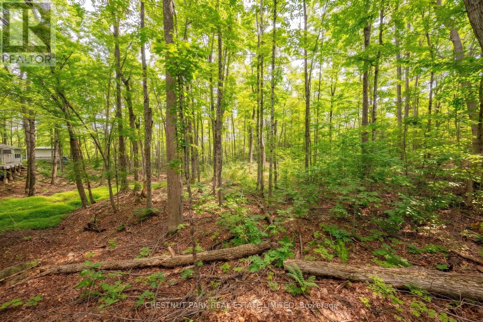 110 FIRE ROUTE 367 - Image 11