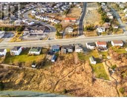 1591 Topsail Road thumbnail 9