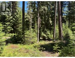 2832 Jewel Lake Road, Jewel Lake, BC V0H1J0 Photo 30