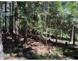 2832 Jewel Lake Road, Jewel Lake, BC V0H1J0 Photo 31