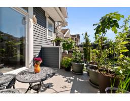 56 7059 210 Street, Langley, BC V2Y0T2 Photo 31
