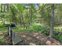 630 South Baptiste Lake Road, Hastings Highlands, ON K0L1C0 Photo 32