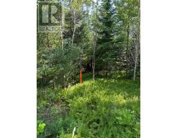 Lot 103 Crouses Settlement Road, Crouses Settlement, NS B0J2C0 Photo 7