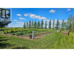 3pc Bathroom - 81154 124 Range, Rural Saddle Hills County, AB T0H0A1 Photo 8