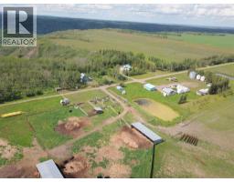 Den - 81154 124 Range, Rural Saddle Hills County, AB T0H0A1 Photo 9