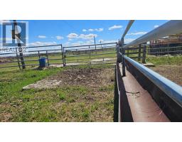 81154 124 Range, Rural Saddle Hills County, AB T0H0A1 Photo 41