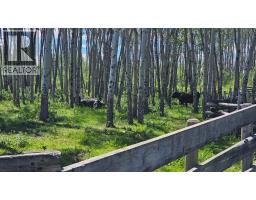 81154 124 Range, Rural Saddle Hills County, AB T0H0A1 Photo 31