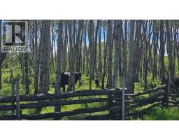 81154 124 Range, Rural Saddle Hills County, AB T0H0A1 Photo 32
