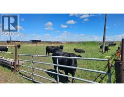 81154 124 Range, Rural Saddle Hills County, AB T0H0A1 Photo 33