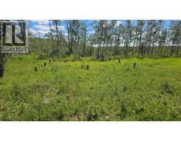 81154 124 Range, Rural Saddle Hills County, AB T0H0A1 Photo 23