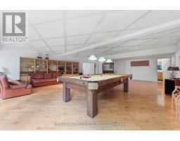 18381 Mccowan Road, East Gwillimbury, ON L0G1M0 Photo 29