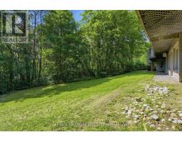 18381 Mccowan Road, East Gwillimbury, ON L0G1M0 Photo 35