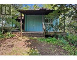 18381 Mccowan Road, East Gwillimbury, ON L0G1M0 Photo 36