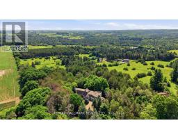 18381 Mccowan Road, East Gwillimbury, ON L0G1M0 Photo 38