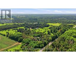 18381 Mccowan Road, East Gwillimbury, ON L0G1M0 Photo 39