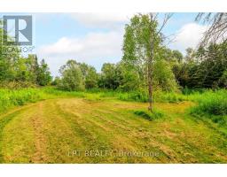 Family room - 23983 Weirs Side Road, Georgina, ON L0E1N0 Photo 8