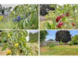 32843 Huntingdon Road, Abbotsford, BC V2S5Z4 Photo 38