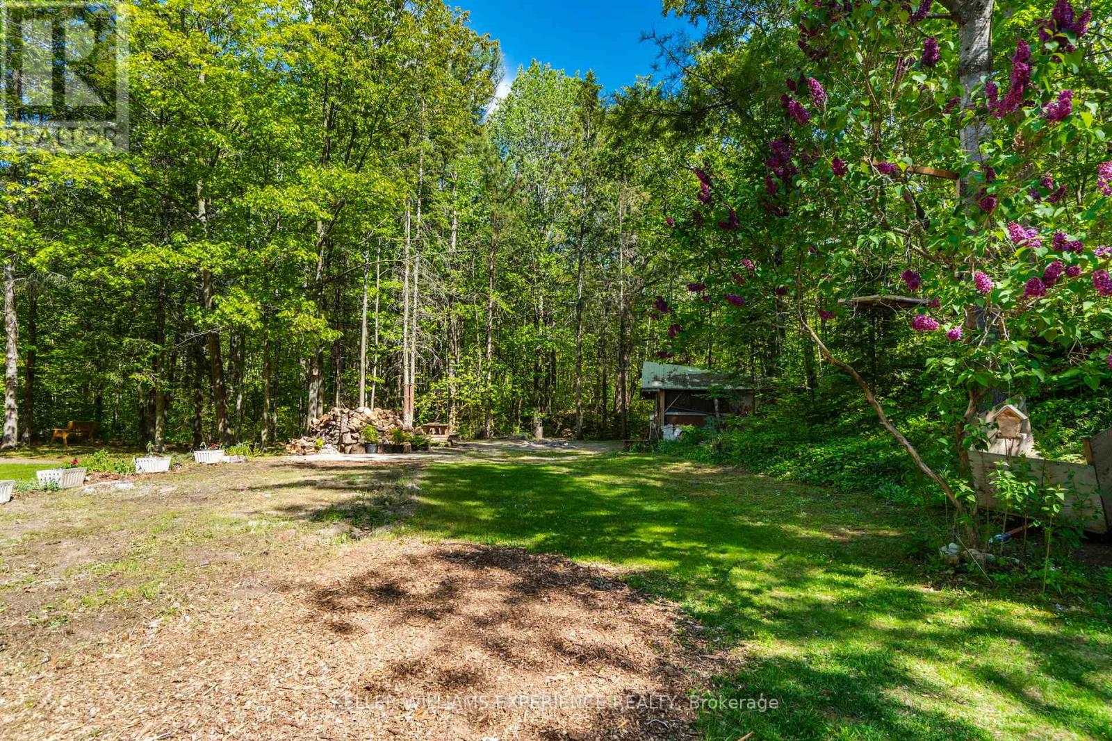 181 PARK ROAD - 5