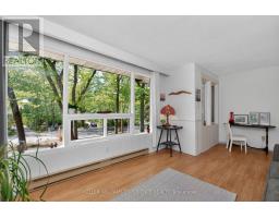 181 Park Road, Tiny, ON L0L1P1 Photo 15