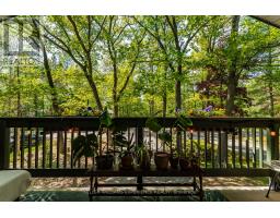 181 Park Road, Tiny, ON L0L1P1 Photo 28