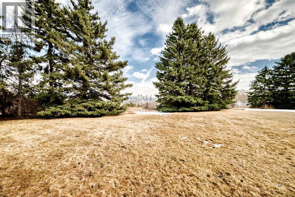 512 Cedar Crescent Southwest - Photo 28