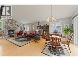 Family room/Fireplace - 476 Dalhousie Street, Amherstburg, ON N9V1X3 Photo 9