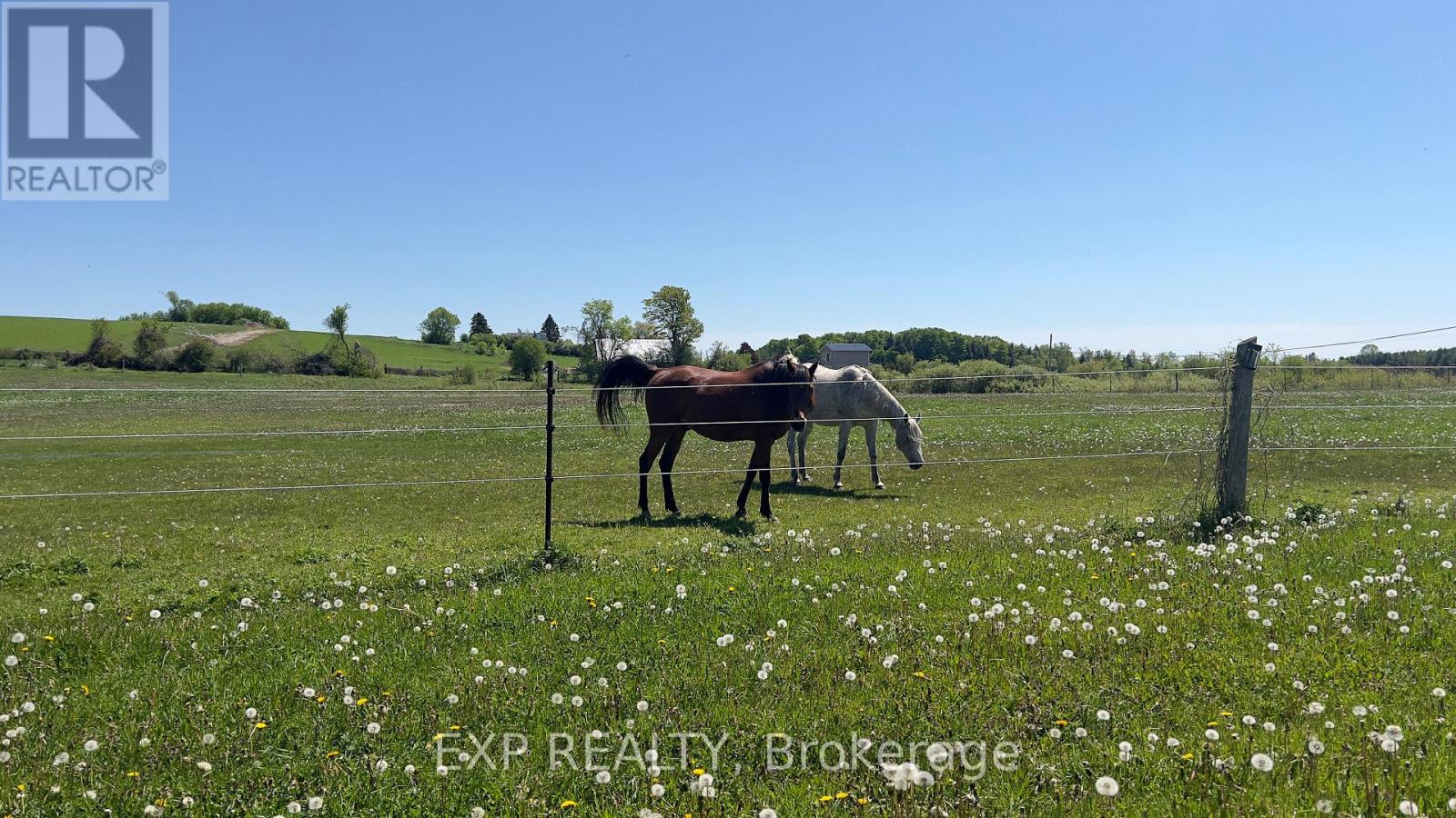 14489 REGIONAL RD 39 ROAD - 10