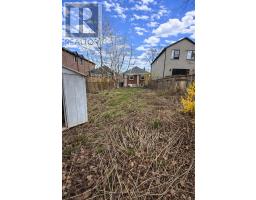 Cold room - 368 Winnett Avenue, Toronto, ON M6C3M1 Photo 10