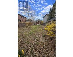 368 Winnett Avenue, Toronto, ON M6C3M1 Photo 11