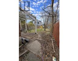 Kitchen - 368 Winnett Avenue, Toronto, ON M6C3M1 Photo 6