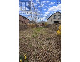 Laundry room - 368 Winnett Avenue, Toronto, ON M6C3M1 Photo 9