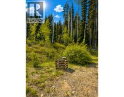 149 Secret Creek Place, Princeton, BC V0X1W0 Photo 6