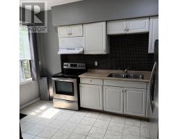 Laundry room - 336 King William Street, Hamilton, ON L8L1P3 Photo 12
