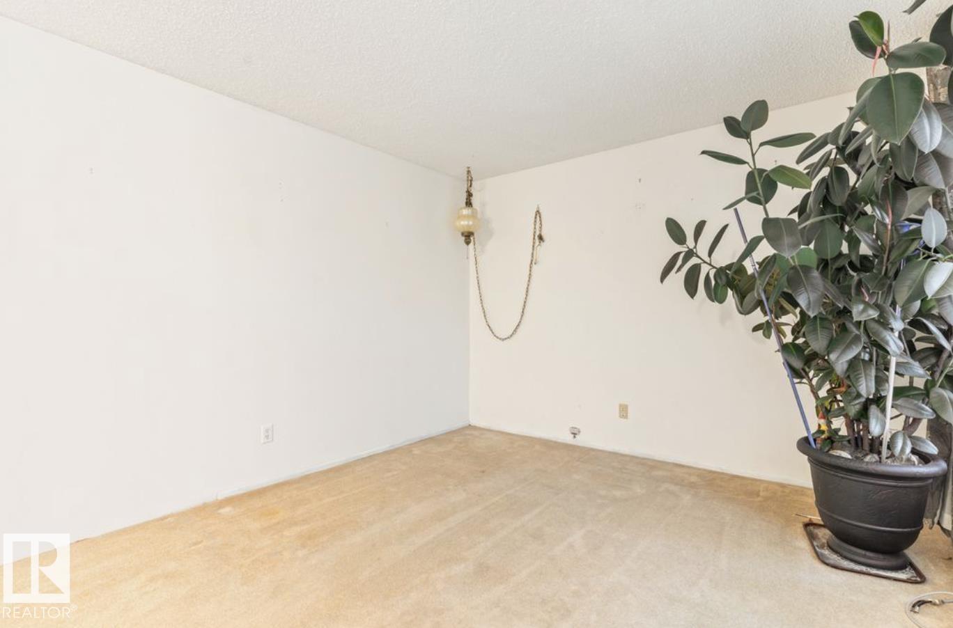 4924 56 Street - Photo 14