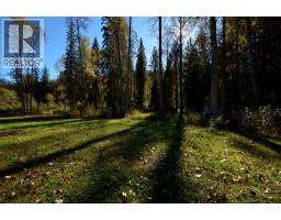 5916 Ferguson Frontage Road, Malakwa, BC V0E2J0 Photo 46