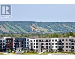 802 - 24 Ramblings Way, Collingwood, ON L9Y5S7 Photo 19