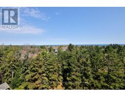 802 - 24 Ramblings Way, Collingwood, ON L9Y5S7 Photo 24