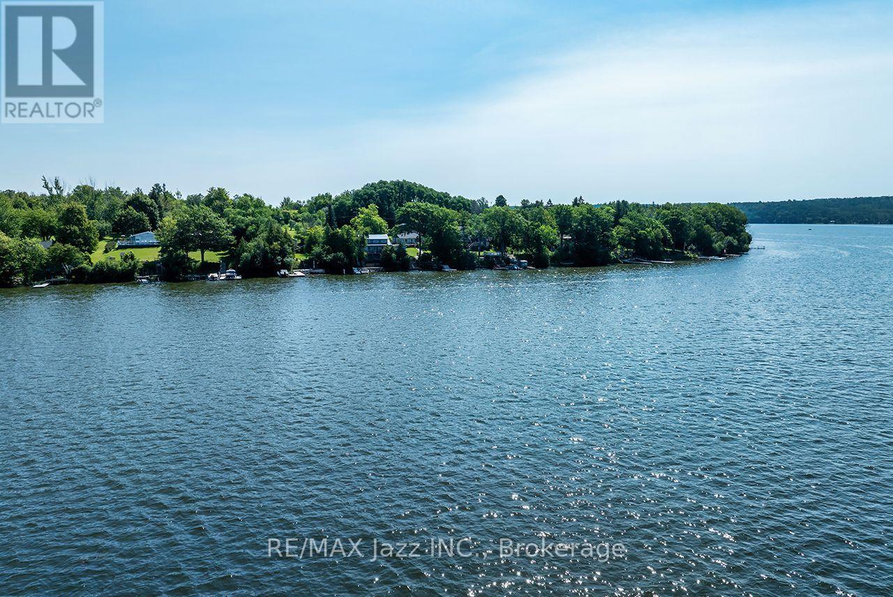 50 LONG ISLAND - Image 5