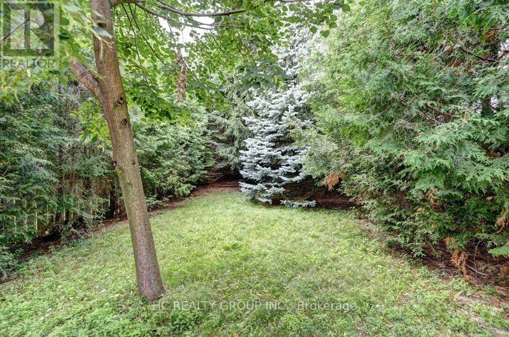 271 RESURRECTION DRIVE - 41