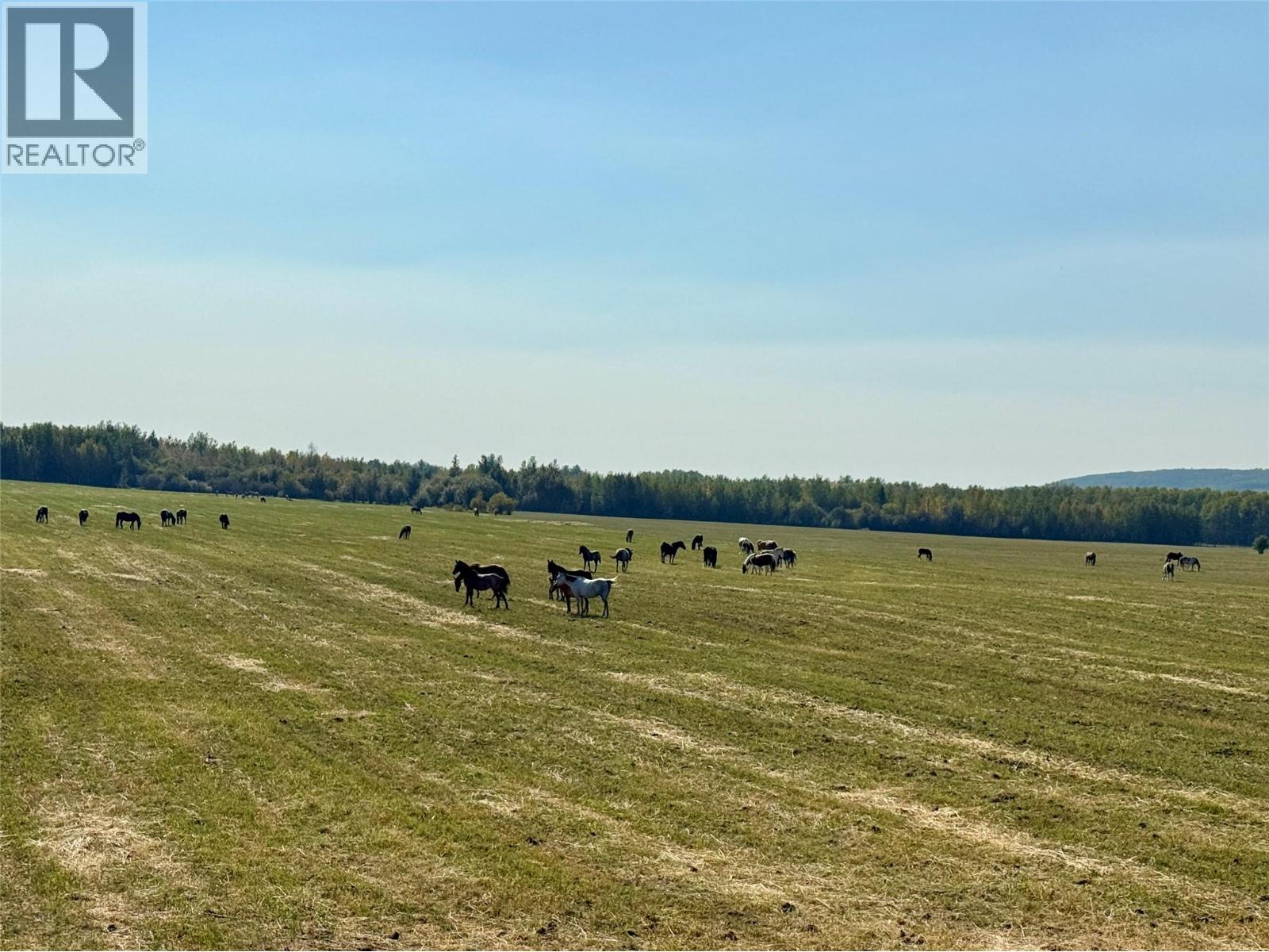 790/770 Jackfish Lake Road, Chetwynd
