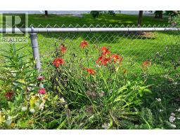 230 Picton Street E, Hamilton, ON L8L3W9 Photo 42