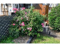 230 Picton Street E, Hamilton, ON L8L3W9 Photo 46
